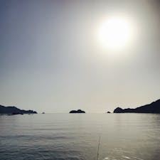 三重県尾鷲漁港にて