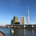 隅田川からのスカイツリー