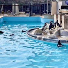 1年間姫路に住んでたのに初めて行った、、！姫路ともお別れだ〜春が終わる前に姫路コンプリートしなきゃだ🐧