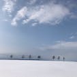 【2020・弥生】
北海道にて冬のザ・北海道を嗜む。

メルヘンの丘