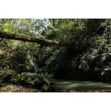 高知県
〜伊尾木洞〜
道を進んでいくと
この場所はあります。