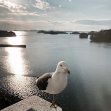 2020.3.24 宮城
#松島