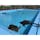 高知県
〜むろと廃校水族館〜
廃校になった場所を水族館に！
プールに亀さんが泳いでます。
校内も跳び箱や手洗い場を水槽にしたり
とても面白い水族館となっています🐠