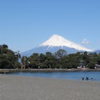 静岡県沼津市大瀬崎から見た、駿河湾と富士山。砂利浜なので歩きづらいけど、水の透明感は抜群でした。