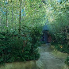 神社巡りがとても好きで、旅行に行ったら必ずその土地の神社でお参りをします⛩
なかなか自然に触れ合うことのできない日常から少し離れて、自然いっぱいの緑に囲まれた場所に行く、すてきです^_^


#来宮神社　#静岡