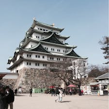 2019.2 愛知
#名古屋城