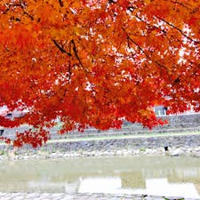 飛騨高山 宮川朝市