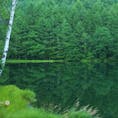 東山魁夷の絵画『緑響く』の
モチーフになった御射鹿池です。
