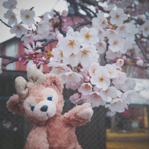 清春白樺美術館@山梨