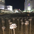 東大門デザインプラザddpの光るバラ