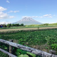 北海道 ニセコからの羊蹄山
やっと雪が溶け、じゃがいもの種イモ撒き