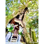 神奈川県伊勢原市　日向薬師

日本の三大薬師と知られる日向薬師♪
自然豊かな境内には、自然と人の手によって作られた秘境があります(^^)

Instagram→marippiworld