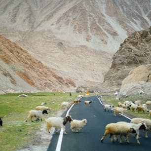 インド、ラダックの山奥。チベットやパキスタンの国境近くに素晴らしい景色がいっぱいある。