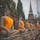 Wat Yai Chai Mongkon, Thailand🇹🇭
many statue of Buddha