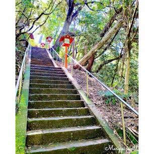 東京都内にある唯一の等々力渓谷。
周りには古墳や1000年以上前に建てられた等々力不動尊があり、神秘的。