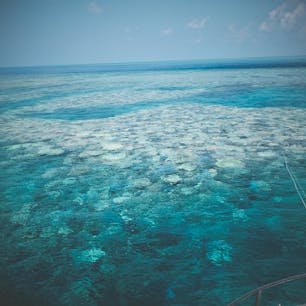 八重千瀬シュノーケル