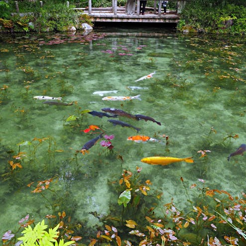 モネの池・根道神社