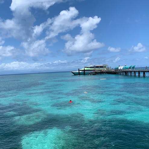 グリーン島 Green Island の投稿写真 感想 みどころ オーストラリア ケアンズ グリーン島の海 トリップノート グリーン島 Green Island の投稿写真 感想 みどころ オーストラリア ケアンズ グリーン島の海 トリップノート