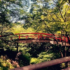 群馬県　河鹿橋