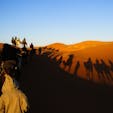 モロッコ、サハラ砂漠。
ラクダの乗り心地は、お尻がかなりの筋肉痛でした。
朝日を受けて歩くラクダの一団は圧巻でした。