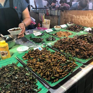 【タイ🇹🇭】バンコク

人生2回目の虫

タラートロットファイ・ラチャダーにて
真ん中の丸めの虫をチョイス

個人的にはビールとの相性抜群なので
あれば積極的に買うくらいには好きです。

虫を食べている...! という感じはしません。
まだ食べたことのない酒好きの方にはおすすめです。

#タイ°
#バンコク
#タラートロットファイラチャダー
#2019/02/01
#旅行ごはん°