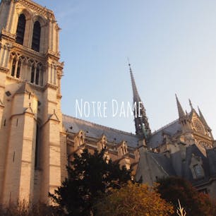 ノートルダム大聖堂

#パリ#ノートルダム大聖堂#海外旅行