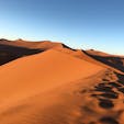 デューン45
ナミブ砂漠、ナミビア

自然が生み出す造形美