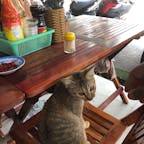 ネコ食堂、野良なのか飼い猫なのか知らないが、我が物顔で客のイスに…
#ベトナム
#ホーチミン