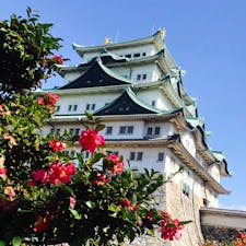 名古屋城

２月頃の写真スポット
おすすめは名古屋城裏！
こんな素敵なツバキ（たぶん）とのコラボが撮れますよ〜∩^ω^∩