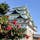 名古屋城

２月頃の写真スポット
おすすめは名古屋城裏！
こんな素敵なツバキ（たぶん）とのコラボが撮れますよ〜∩^ω^∩