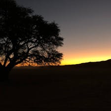 ナミブ砂漠に沈む夕陽