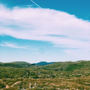 【山口県／秋吉台】
日本最大のカルスト台地。
このボコボコした石灰石は、3億五千万年年前のサンゴ礁……
歴史を知るとより深く美しい。

#山口県
#秋吉台
#カルスト台地