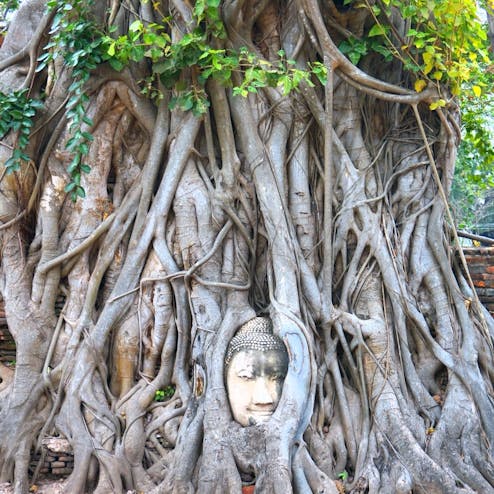 ワット・プラ・マハタート