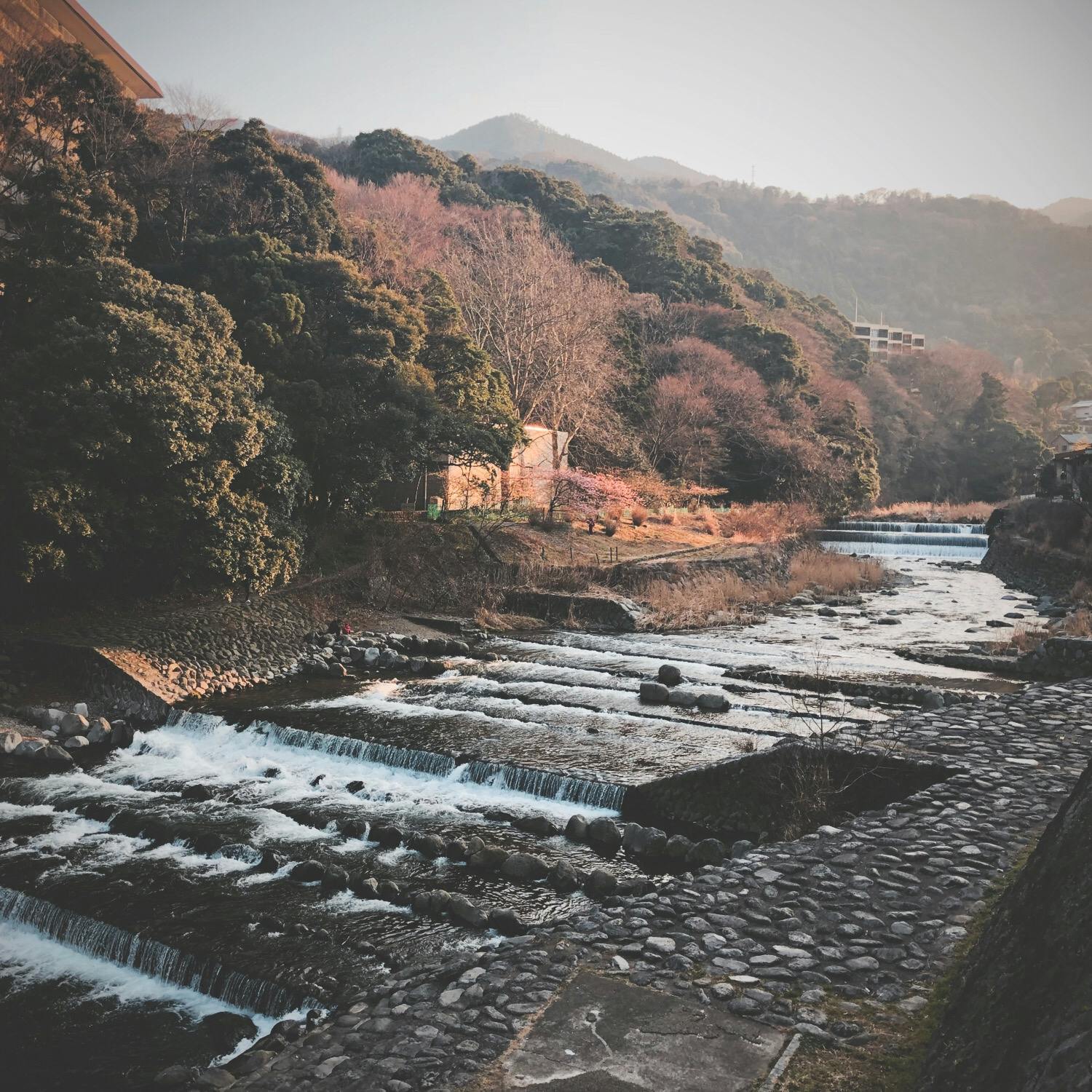 箱根 はこね の投稿写真 感想 みどころ 神奈川 箱根湯本 早川 赤い橋 あじさい橋 トリップノート 箱根 はこね の投稿写真 感想 みどころ 神奈川 箱根湯本 早川 赤い橋 あじさい橋 トリップノート