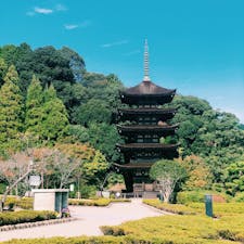 【山口県／瑠璃光寺】
日本に現存する五重塔で10番目に古く、日本三名塔の一つ。
美しいの一言！
桜や梅の季節に訪れるととても素敵です。

#山口県
#瑠璃光寺
#五重塔