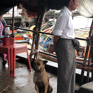 ヤンゴン朝の風景、船着場のおじさんと犬。
#Myanmar
#Yangon