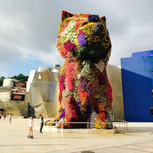 ビルバオ、スペイン
犬？猫？
犬でしょうね。