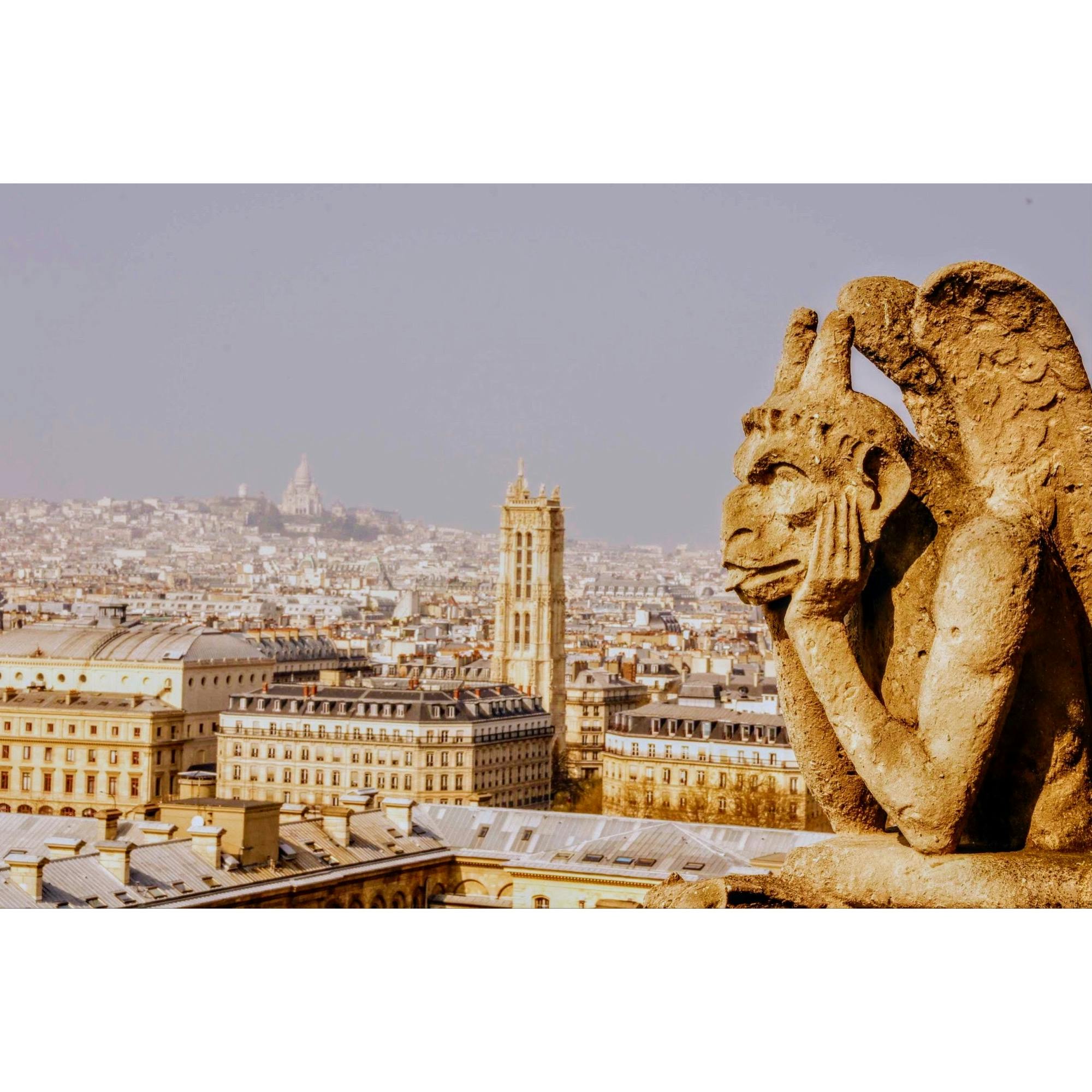 ノートルダム大聖堂 Cathedrale Notre Dame De Paris の投稿写真 感想 みどころ フランス ノートルダム大聖堂の上から トリップノート