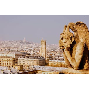 フランス、ノートルダム大聖堂の上から。