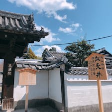 📍Kyoto,Japn

#京都
#養源院
#血天井