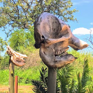 スワジランド、フラネロイヤル国立公園の入り口にある多分ゾウの骨。