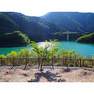 【静岡】


エメラルドグリーンの湖
かわせみ湖です。