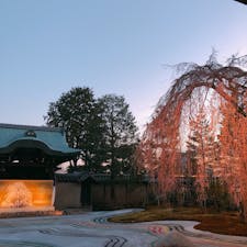 📍Kyoto,Japan

#京都
#高台寺