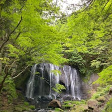 滝までの道のりも渓谷感あってとてもきれい。緑が深くなってきた新緑と滝と、とても爽やかな景色でした。
#達沢不動滝
