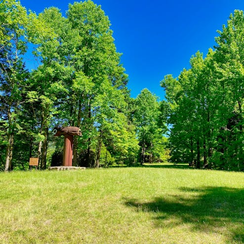 神戸市立森林植物園