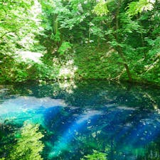 青森県十二湖の青池。信じられないくらい、本当に青かった！今まで見た景色の中で1番かもしれない！お勧めしたい場所ランキングトップ！