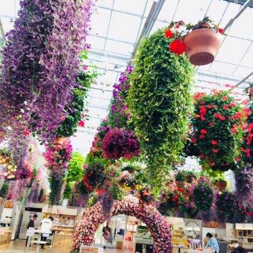 三島スカイウォーク