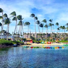 ハワイ島
ホテル:ヒルトン ワイコロア ビレッジ
ホテル内の海水プールは、ホヌが泳いでました。
#ヒルトンワイコロアビレッジ