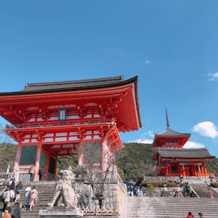 📍Kyoto,Japan

#京都
#清水寺