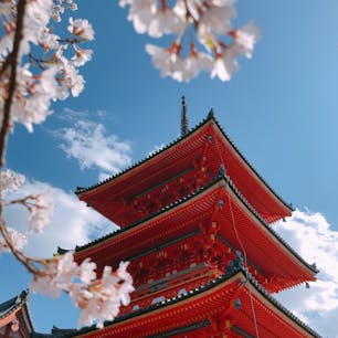 📍Kyoto,Japan

#京都
#清水寺